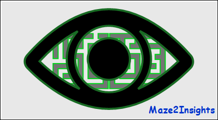 Maze2Insights